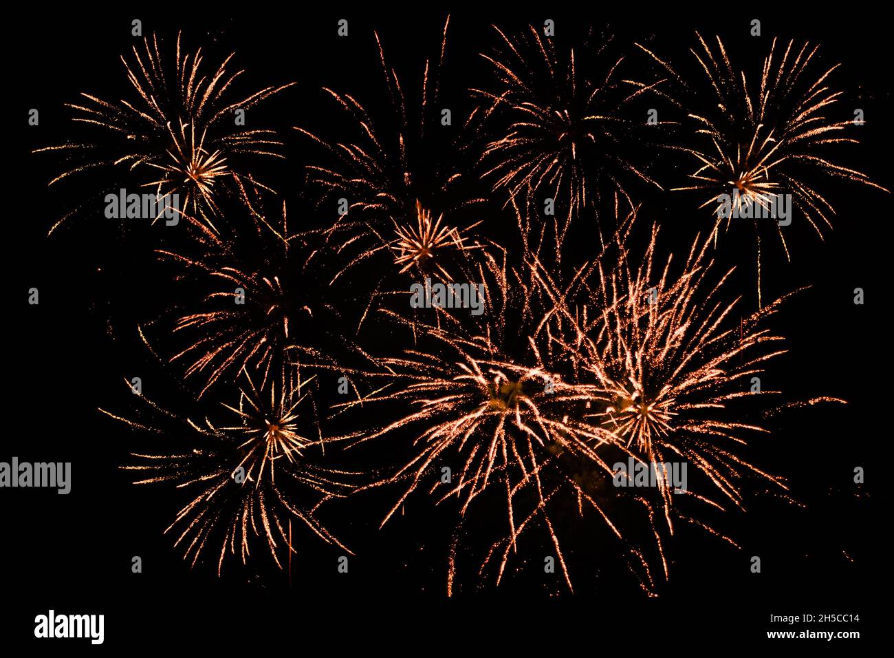 Feu d'artifice doré sur fond de ciel noir.Nuit de feu de joie, nouvel an ou autres vacances Banque D'Images
