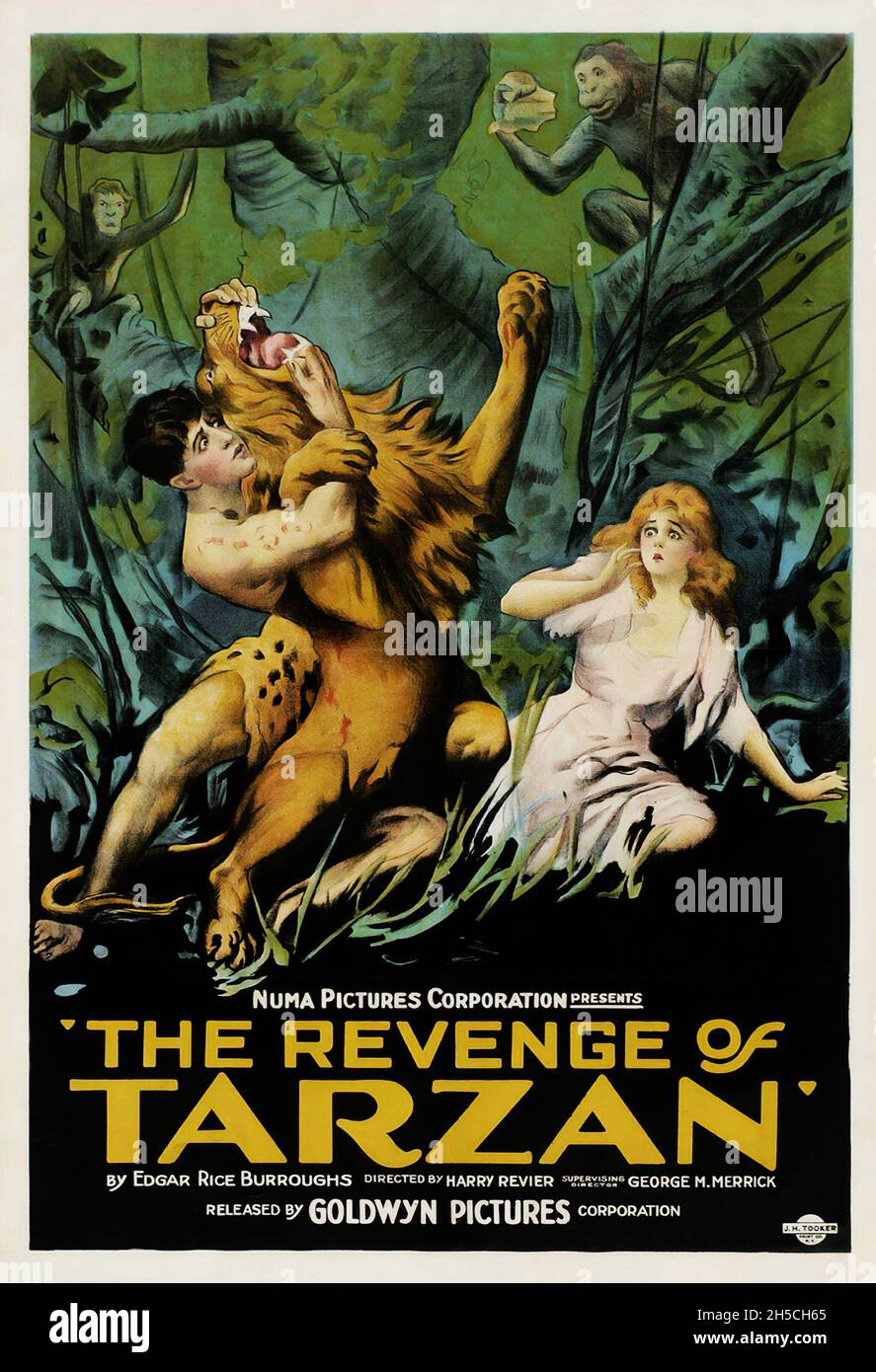 Affiche de film vintage: The Revenge of Tarzan (Goldwyn, 1920) Edgar Rice Burroughs. Banque D'Images