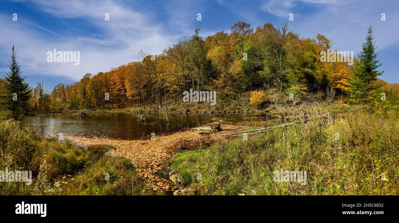 Automne canadien sur le lac du castor sous une colline avec forêt d'automne   Banque D'Images