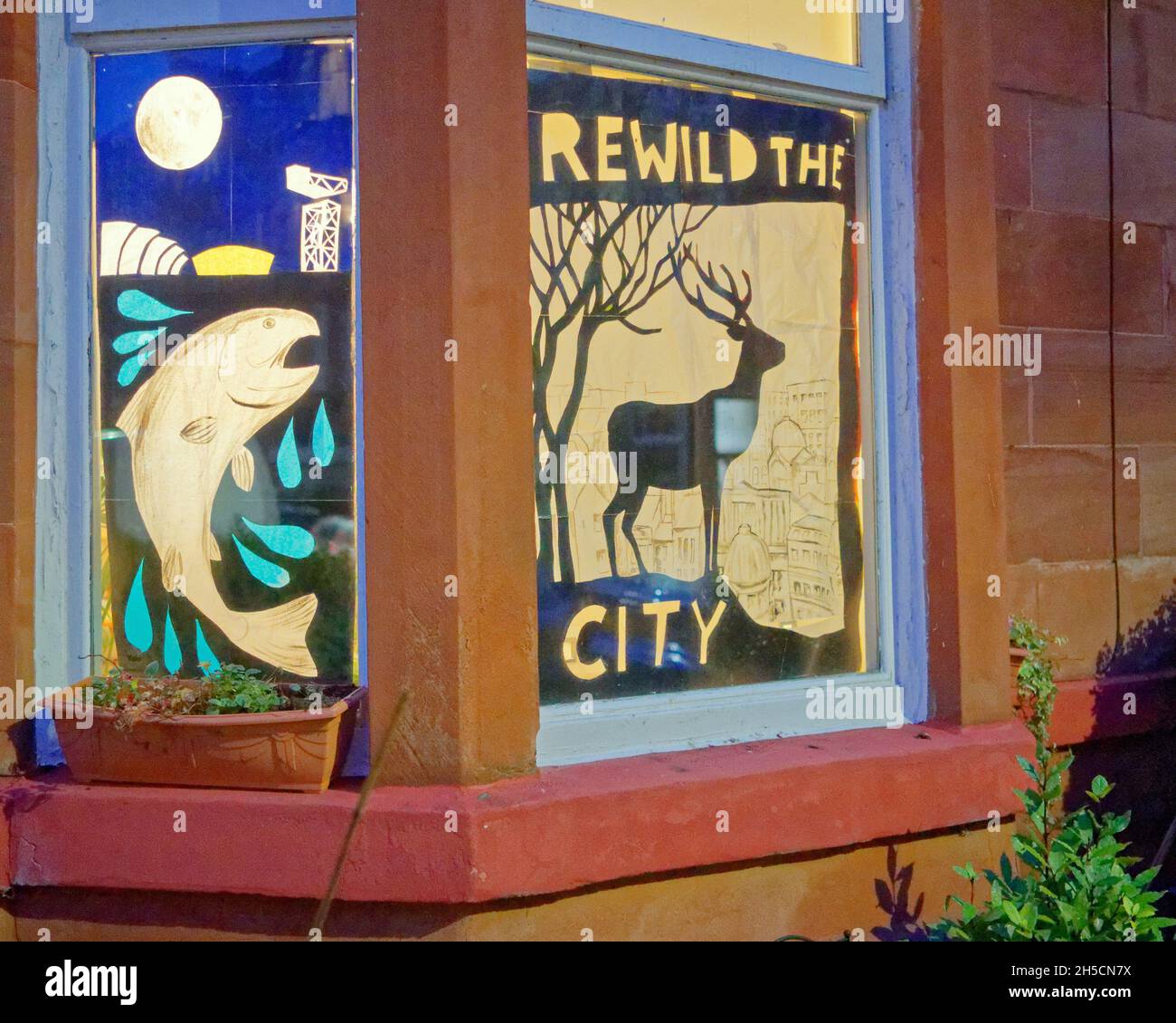 Glasgow, Écosse, Royaume-Uni 8 novembre 2021.Les concepts du thème du changement climatique ont été le thème moteur dans le champ de bataille de la ville qui se tient actuellement pendant la conférence cop26 coïncidente en même temps.La Wanderland d'hiver est une célébration croissante qui se déroule par intermittence au cours de l'année dans des quartiers définis au Royaume-Uni avec un thème décidé localement qui se traduit par des fenêtres avant artistiquement décorées « Covid-safe moyen de relier les gens, transformant les rues en galeries extérieures magiques ».Crédit Gerard Ferry/Alay Live News Banque D'Images