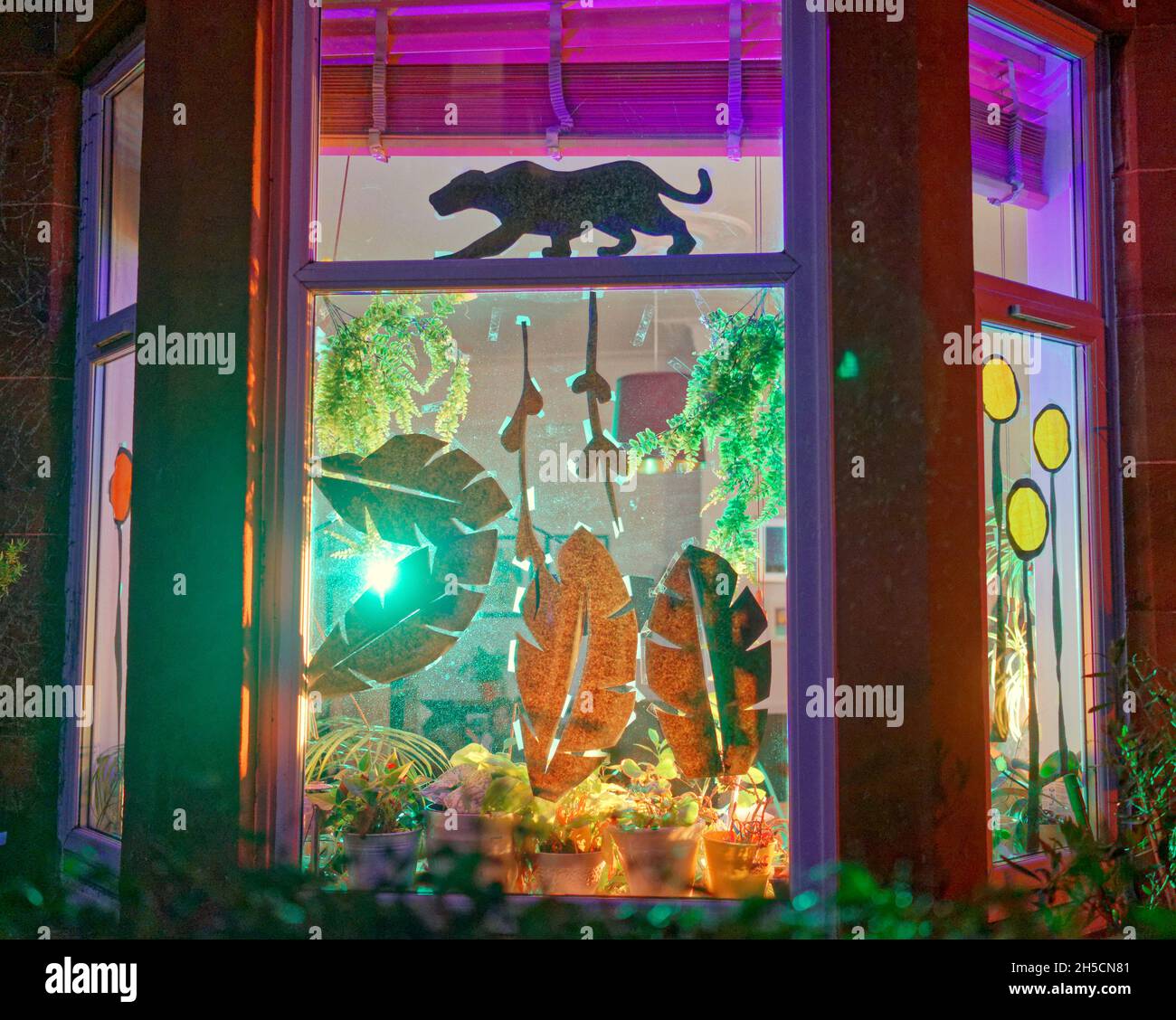 Glasgow, Écosse, Royaume-Uni 8 novembre 2021.Les concepts du thème du changement climatique ont été le thème moteur dans le champ de bataille de la ville qui se tient actuellement pendant la conférence cop26 coïncidente en même temps.La Wanderland d'hiver est une célébration croissante qui se déroule par intermittence au cours de l'année dans des quartiers définis au Royaume-Uni avec un thème décidé localement qui se traduit par des fenêtres avant artistiquement décorées « Covid-safe moyen de relier les gens, transformant les rues en galeries extérieures magiques ».Crédit Gerard Ferry/Alay Live News Banque D'Images