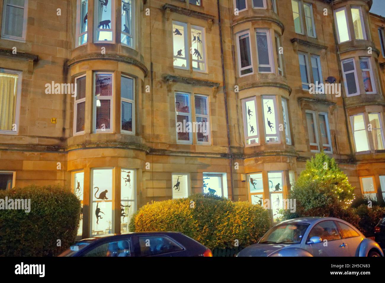 Glasgow, Écosse, Royaume-Uni 8 novembre 2021.Tout un gouvernement a dédié ses fenêtres aux singes.Les concepts du thème du changement climatique ont été le thème moteur dans le champ de bataille de la ville qui se tient actuellement pendant la conférence cop26 coïncidente en même temps.La Wanderland d'hiver est une célébration croissante qui se déroule par intermittence au cours de l'année dans des quartiers définis au Royaume-Uni avec un thème décidé localement qui se traduit par des fenêtres avant décorées artistiquement.Crédit Gerard Ferry/Alay Live News Banque D'Images