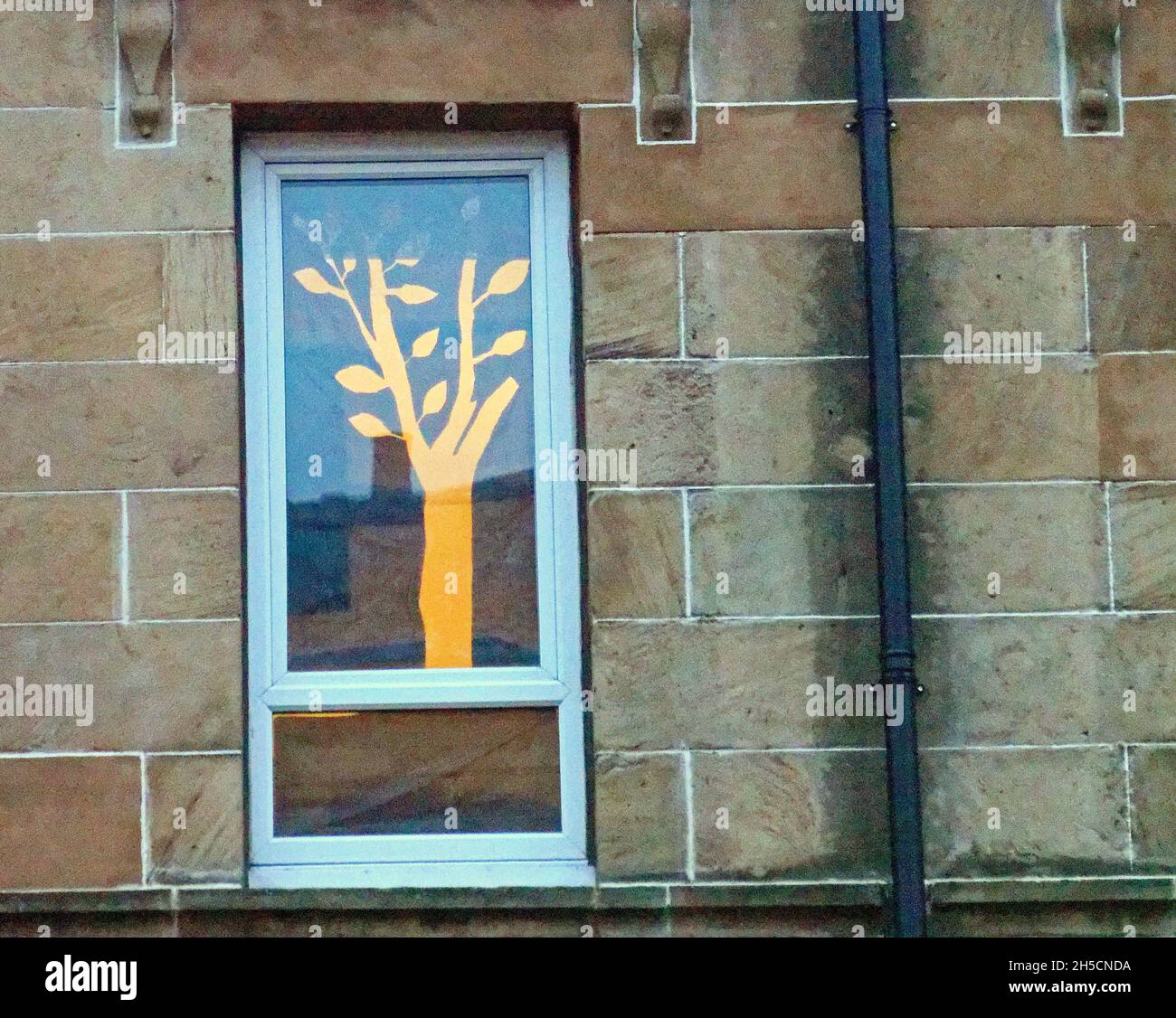 Glasgow, Écosse, Royaume-Uni 8 novembre 2021.Les concepts du thème du changement climatique ont été le thème moteur dans le champ de bataille de la ville qui se tient actuellement pendant la conférence cop26 coïncidente en même temps.La Wanderland d'hiver est une célébration croissante qui se déroule par intermittence au cours de l'année dans des quartiers définis au Royaume-Uni avec un thème décidé localement qui se traduit par des fenêtres avant artistiquement décorées « Covid-safe moyen de relier les gens, transformant les rues en galeries extérieures magiques ».Crédit Gerard Ferry/Alay Live News Banque D'Images