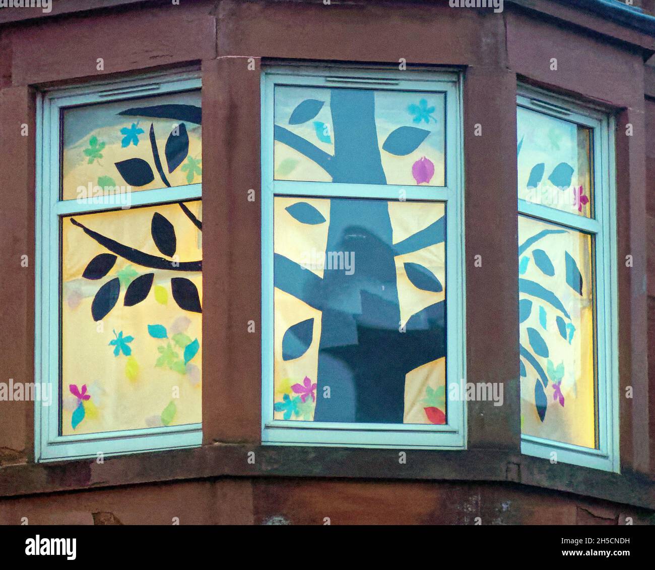 Glasgow, Écosse, Royaume-Uni 8 novembre 2021.Les concepts du thème du changement climatique ont été le thème moteur dans le champ de bataille de la ville qui se tient actuellement pendant la conférence cop26 coïncidente en même temps.La Wanderland d'hiver est une célébration croissante qui se déroule par intermittence au cours de l'année dans des quartiers définis au Royaume-Uni avec un thème décidé localement qui se traduit par des fenêtres avant artistiquement décorées « Covid-safe moyen de relier les gens, transformant les rues en galeries extérieures magiques ».Crédit Gerard Ferry/Alay Live News Banque D'Images