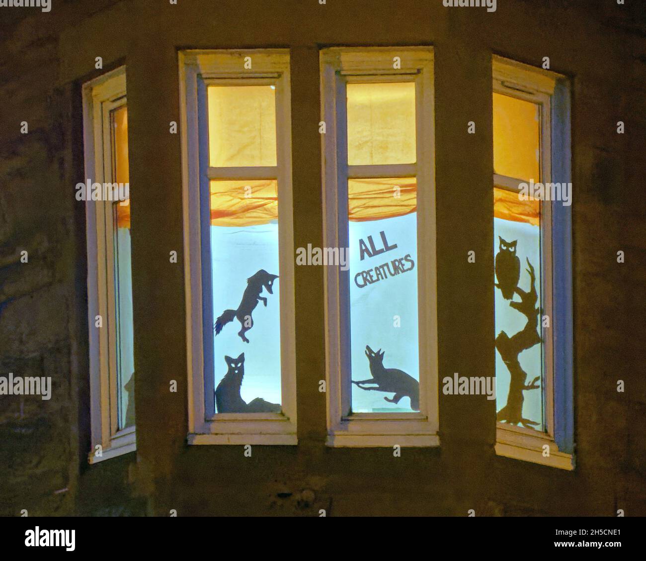 Glasgow, Écosse, Royaume-Uni 8 novembre 2021.Les concepts du thème du changement climatique ont été le thème moteur dans le champ de bataille de la ville qui se tient actuellement pendant la conférence cop26 coïncidente en même temps.La Wanderland d'hiver est une célébration croissante qui se déroule par intermittence au cours de l'année dans des quartiers définis au Royaume-Uni avec un thème décidé localement qui se traduit par des fenêtres avant artistiquement décorées « Covid-safe moyen de relier les gens, transformant les rues en galeries extérieures magiques ».Crédit Gerard Ferry/Alay Live News Banque D'Images