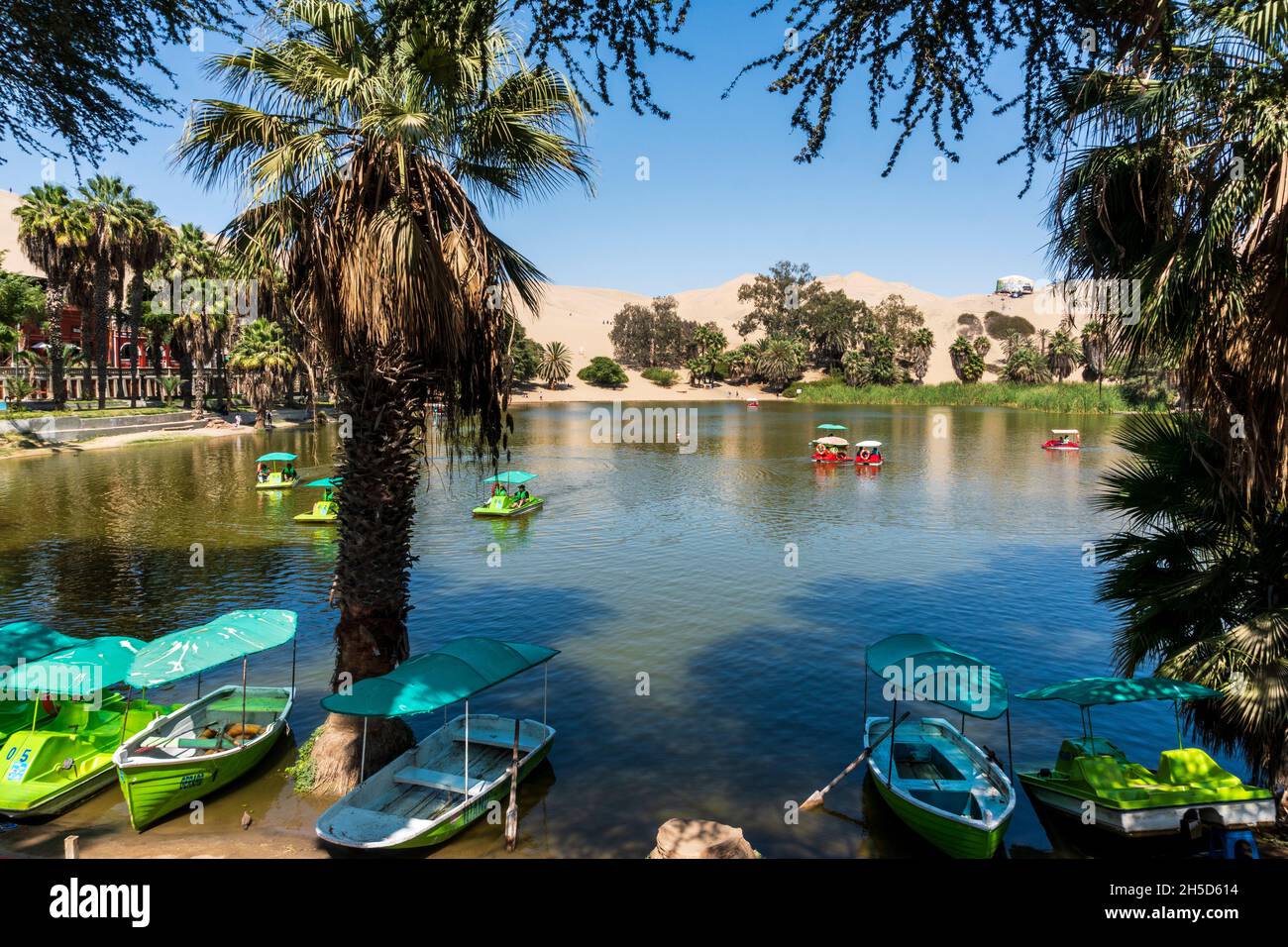 La zone de conservation régionale de Laguna de Huacachina, ICA, Pérou Banque D'Images