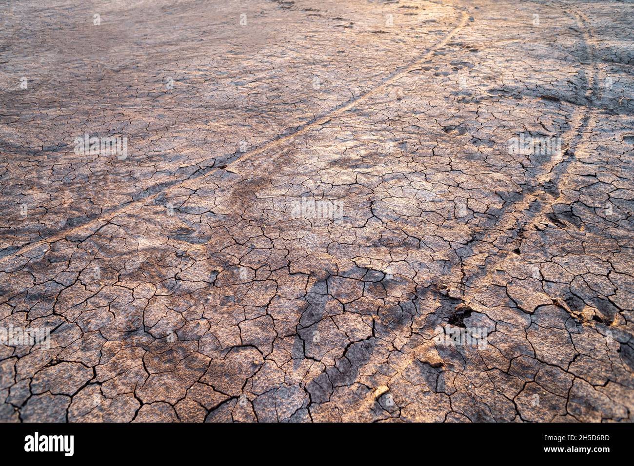 Marques de voiture sur le sol sec craquelé texture du sol fond. Banque D'Images