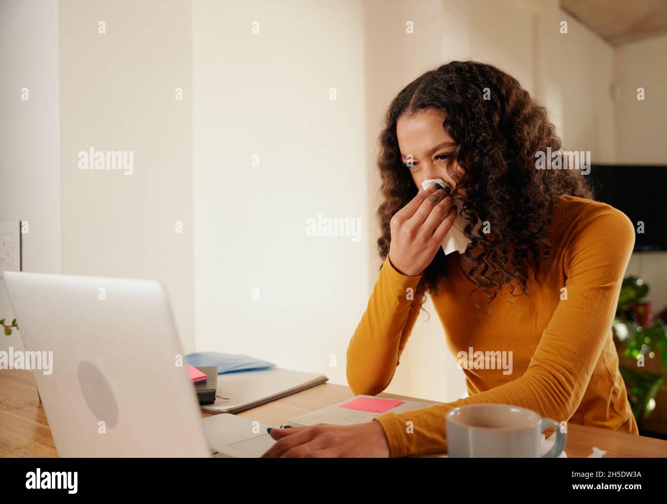 Jeune femme adulte multi-culturelle soufflant le nez tout en travaillant de la maison sur son ordinateur portable.Appartement moderne Banque D'Images