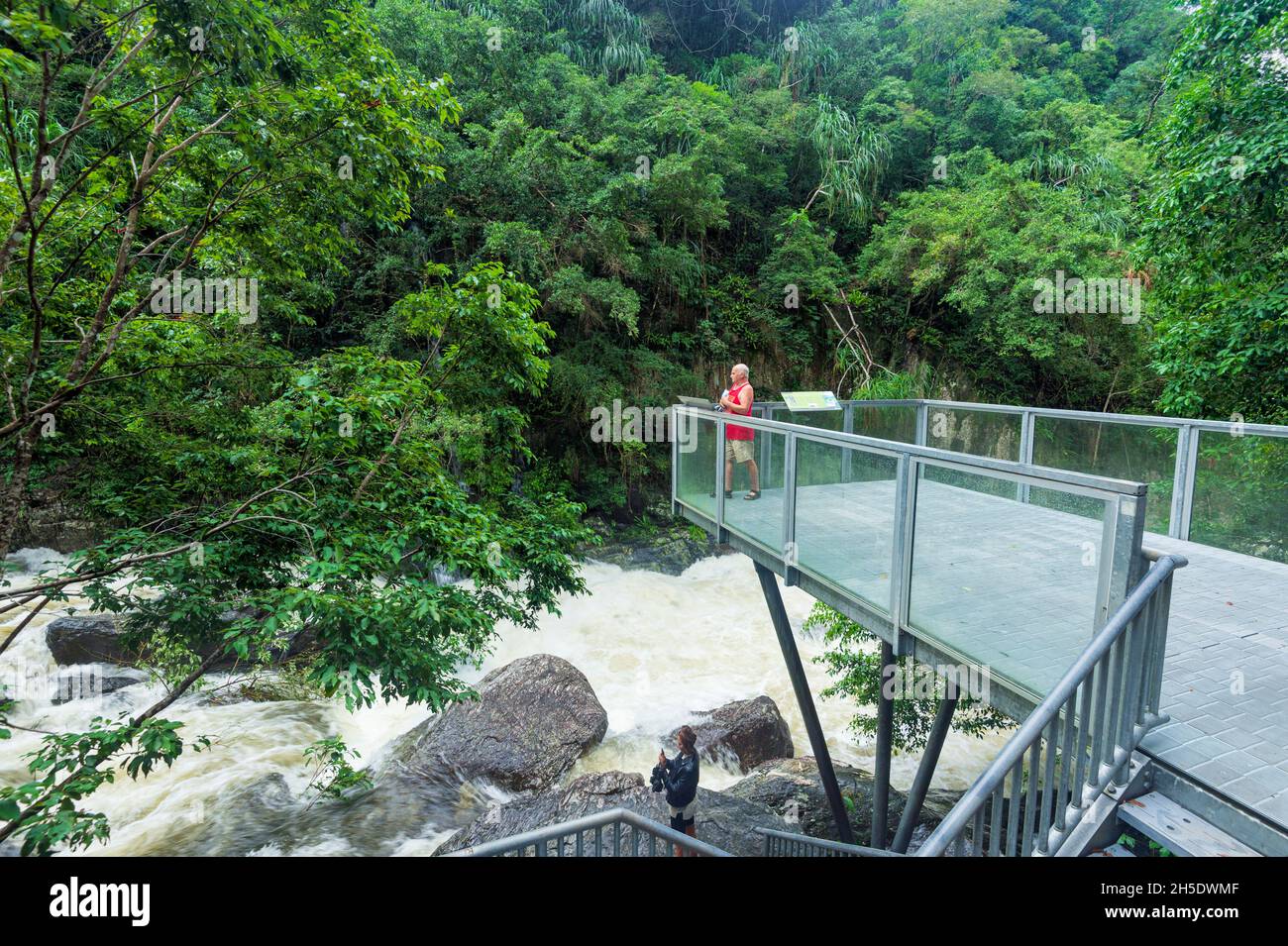 Plate-forme d'observation au-dessus de Freshwater Creek dans un cadre tropical à Crystal Cascades, Cairns, Wet Tropics, Far North Queensland, FNQ,Australie Banque D'Images