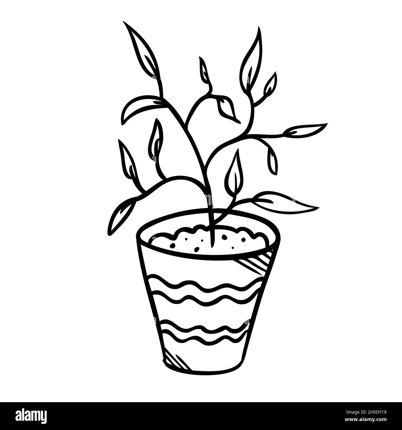 Illustration vectorielle d'une fleur dans un pot et esquisse à la main Illustration de Vecteur