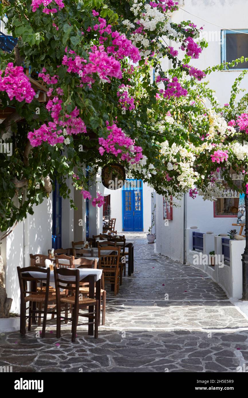 Allée typique dans le village de Plaka, île de Milos, Grèce Banque D'Images