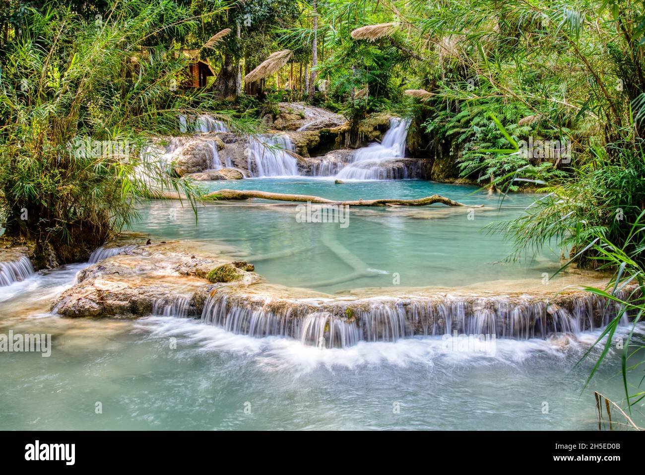 Vue sur les chutes de Kuang si, Luang Prabang au Laos Banque D'Images