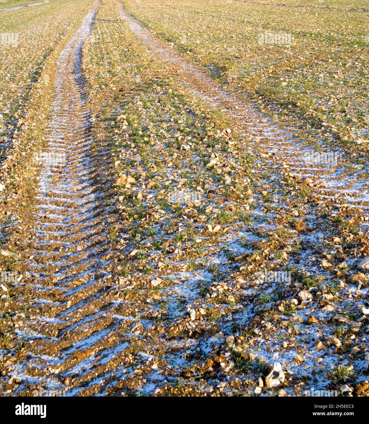 chenilles de tracteur dans le parc national de south downs à sussex Banque D'Images
