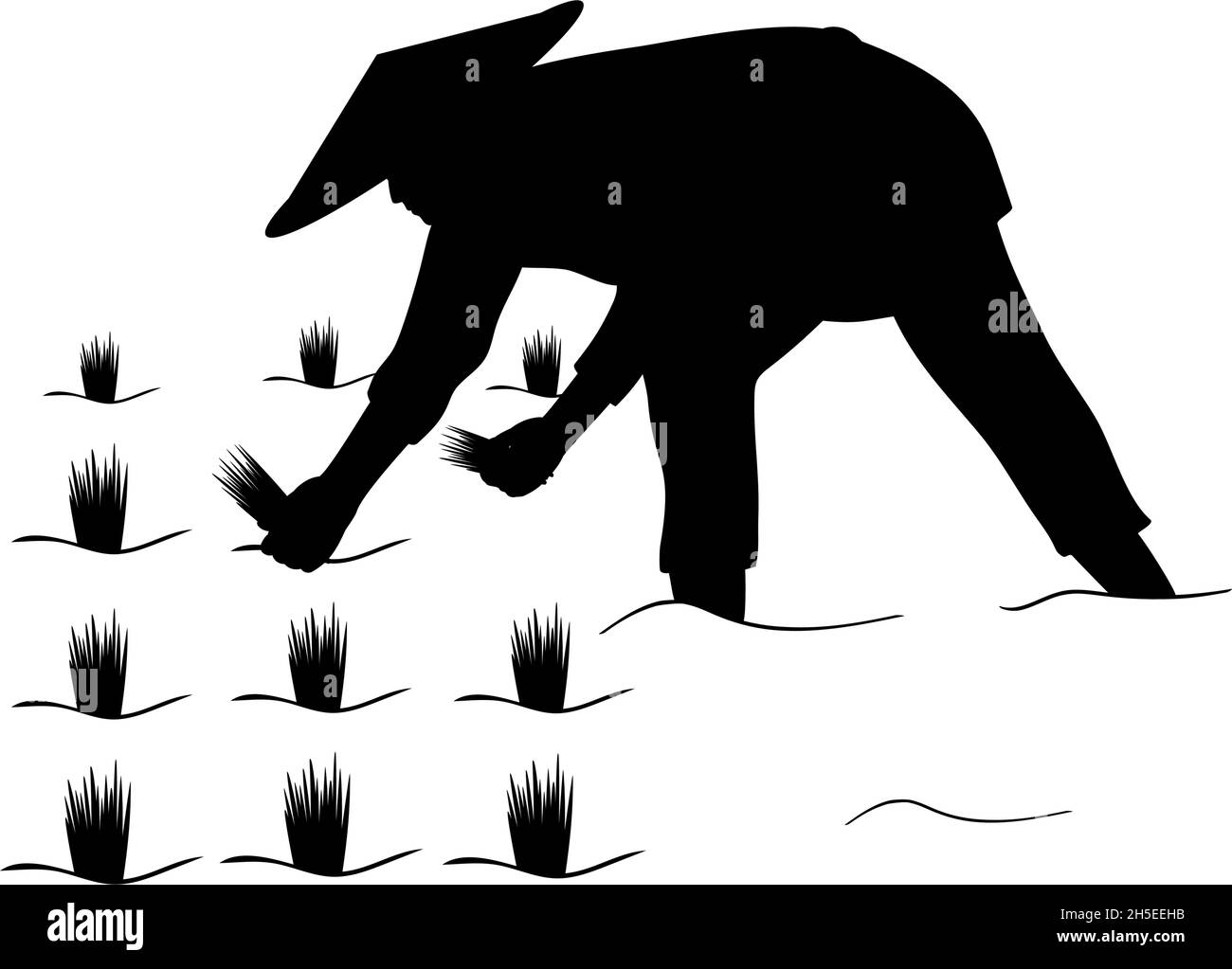 Silhouette agriculteur asiatique travaillant dans la plantation de riz. Illustration de Vecteur