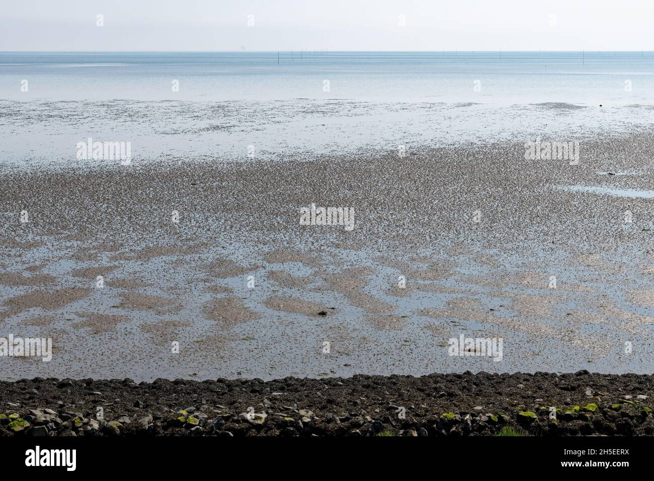 Vue panoramique depuis la fin de la pente d'une digue au-dessus des appartements de marée le long de la rive de l'île de Texel, les pays-Bas avec la mer de Wadden à distance Banque D'Images