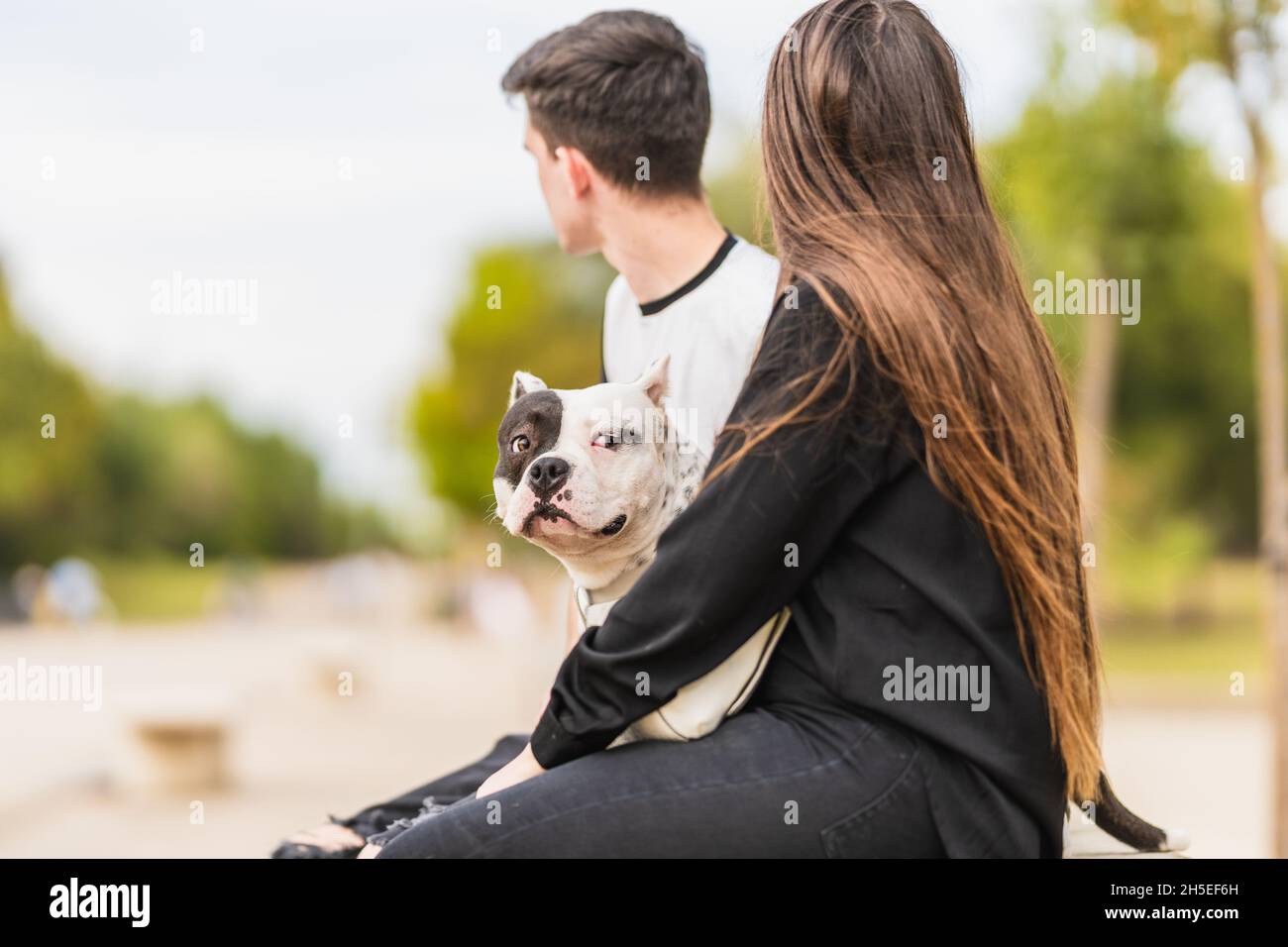 Chien se tournant vers l'appareil photo tout en étant assis au milieu de deux personnes à l'extérieur Banque D'Images