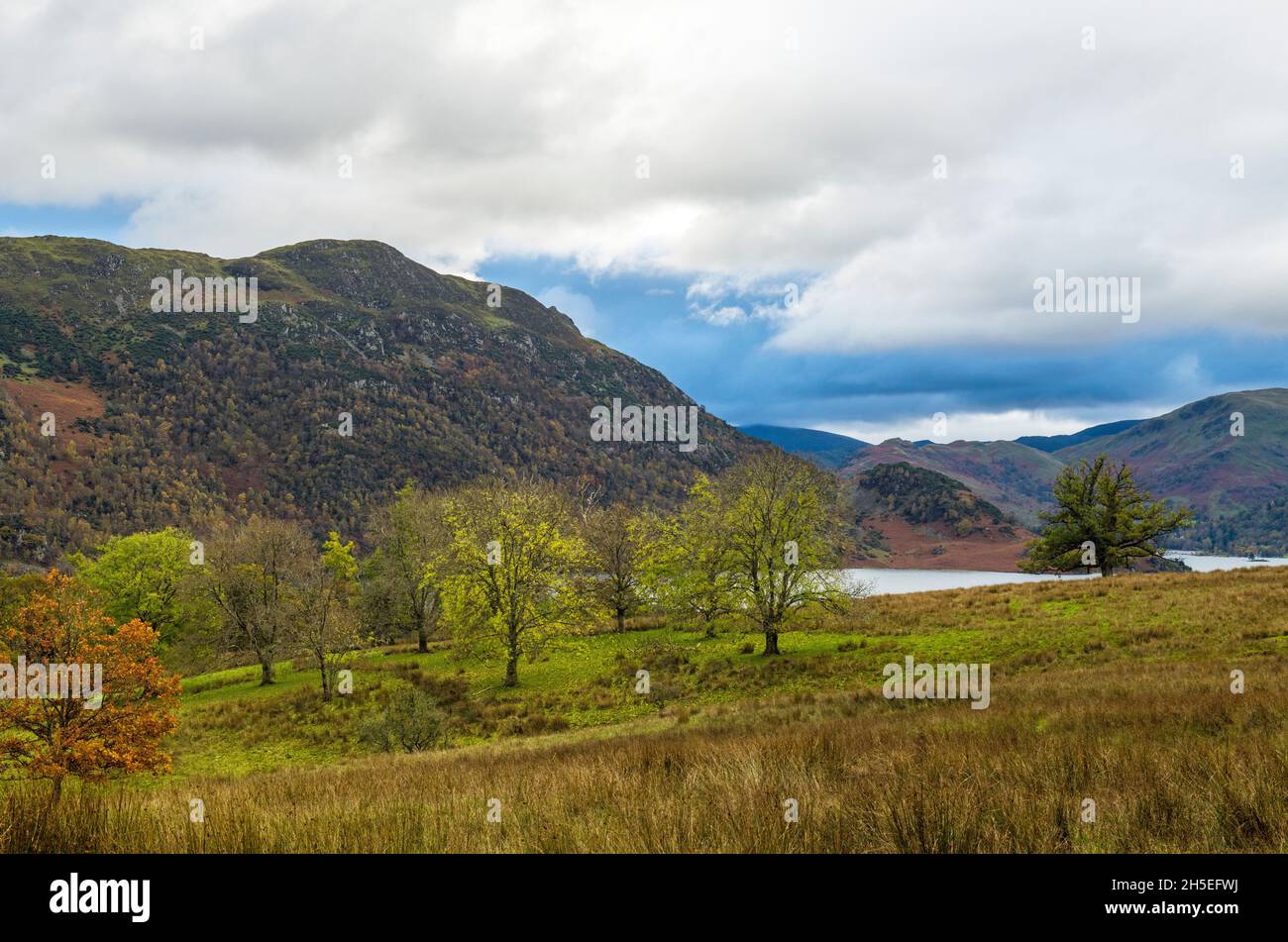 La vue vers Ullswater dans le parc national de Lake District en automne Banque D'Images