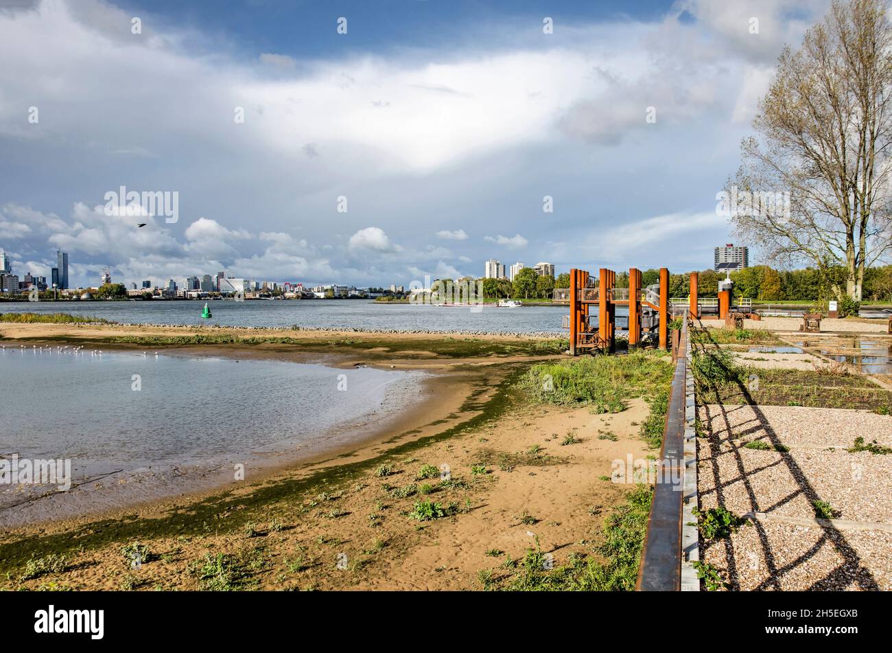 Rotterdam, pays-Bas, le 4 novembre 2021 : la pointe ouest de l'île Van Brienoord avec une plate-forme d'observation en acier de corten et la marée nouvellement créée n Banque D'Images
