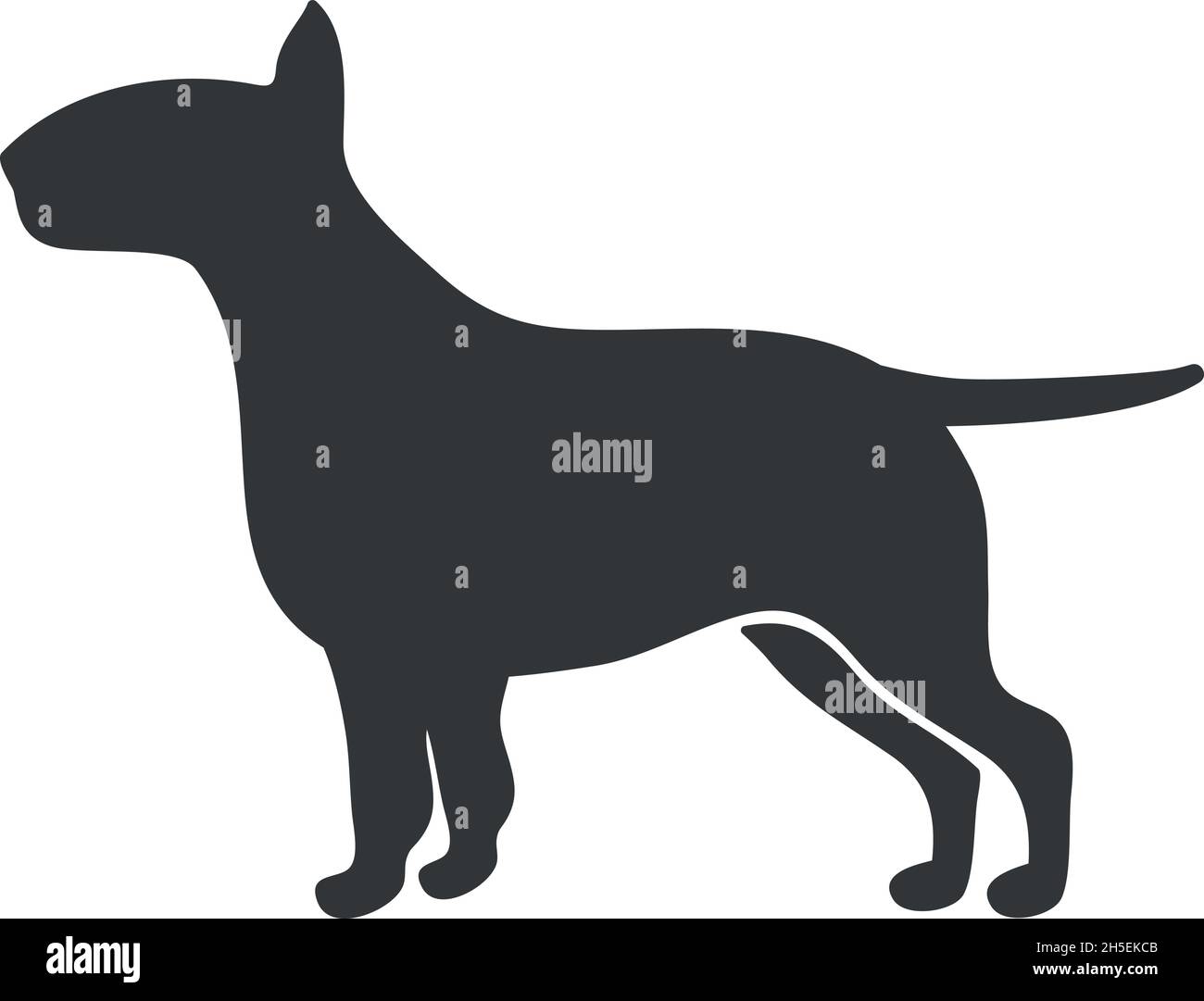 Silhouette de Bull terrier.Contour de chien noir, quel animal, icône de vecteur isolée sur fond blanc Illustration de Vecteur