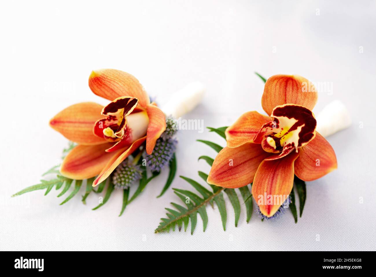Belles boutonnières du marié d'orchidées et de fleurs séchées.Décorations  de mariage.Floristics.Mise au point sélective douce Photo Stock - Alamy