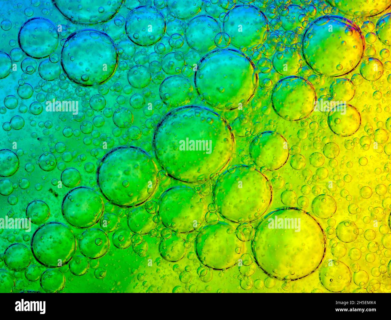 Des bulles d'huile dans l'eau Banque D'Images