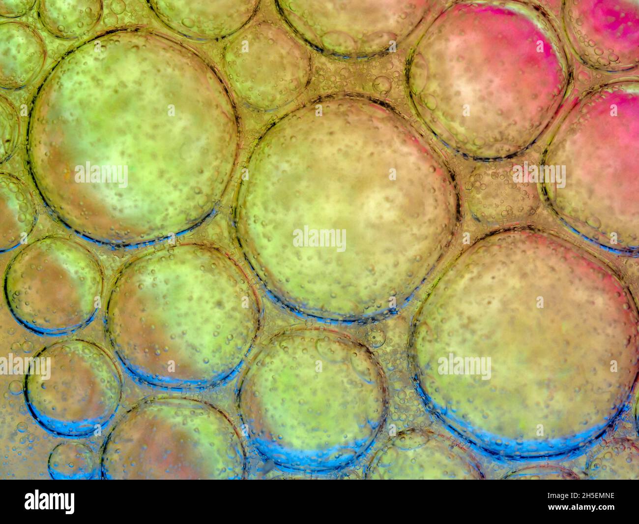 Des bulles d'huile dans l'eau Banque D'Images