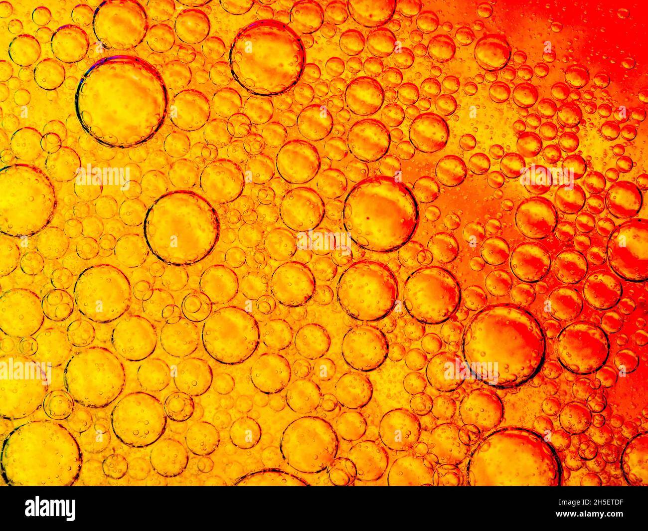 Des bulles d'huile dans l'eau Banque D'Images