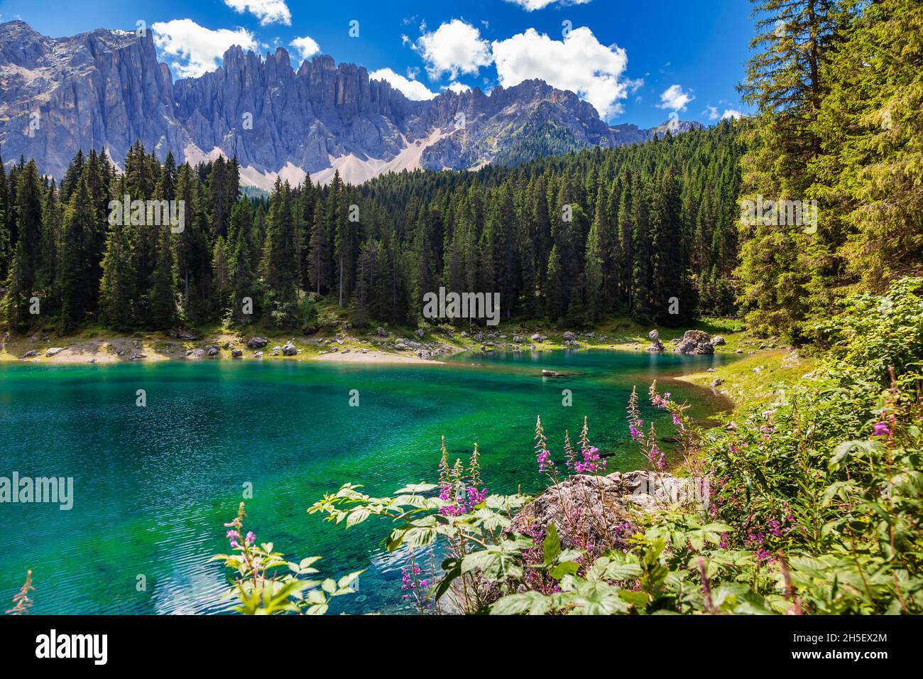 Lac alpin turquoise Carezza (Karersee), une destination touristique célèbre dans la province de Bolzano, tyrol du Sud, Italie Banque D'Images