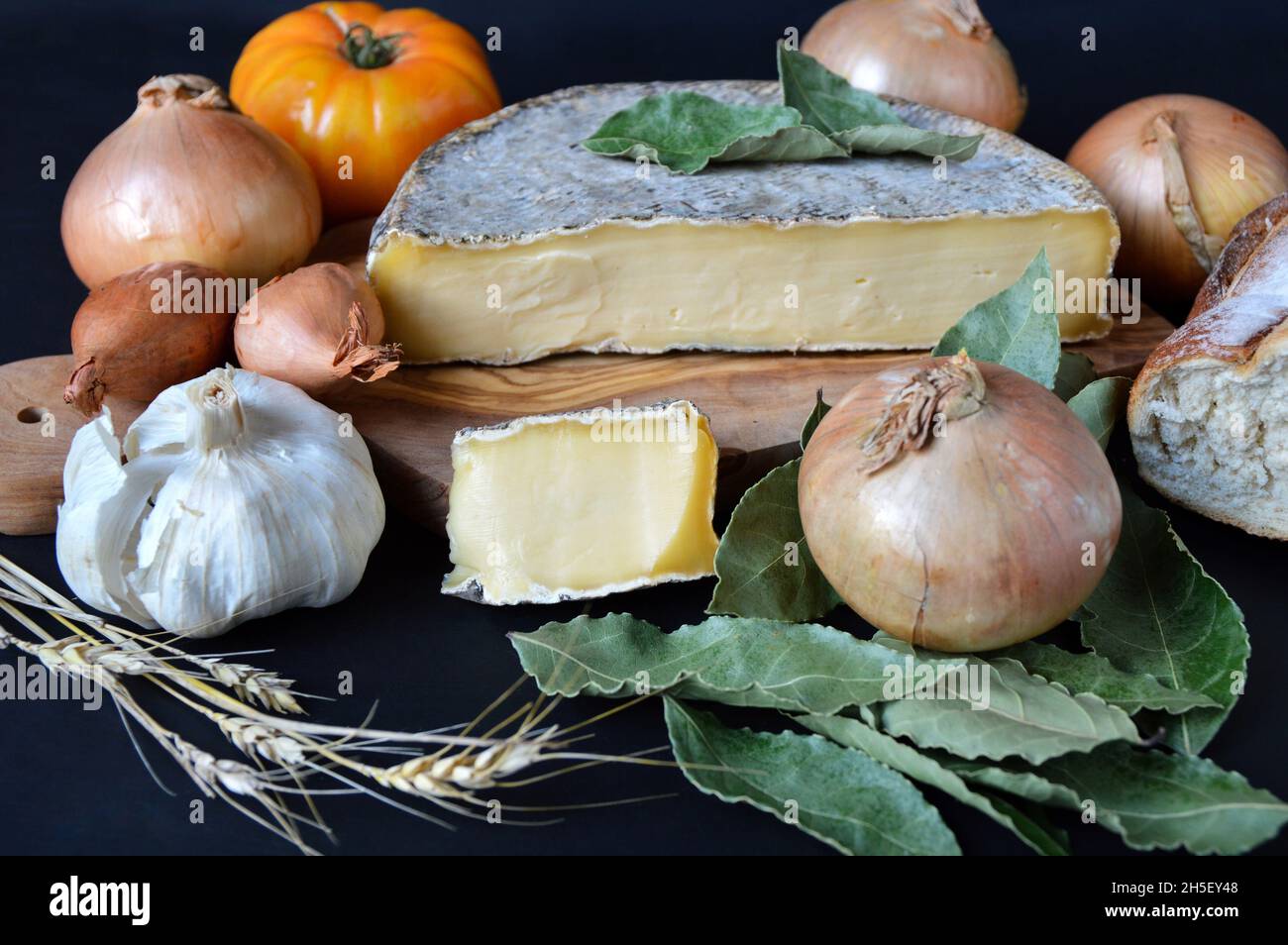 Fromages d'Auvergne, Saint Nectaire, c'est fromages de montagne. Banque D'Images