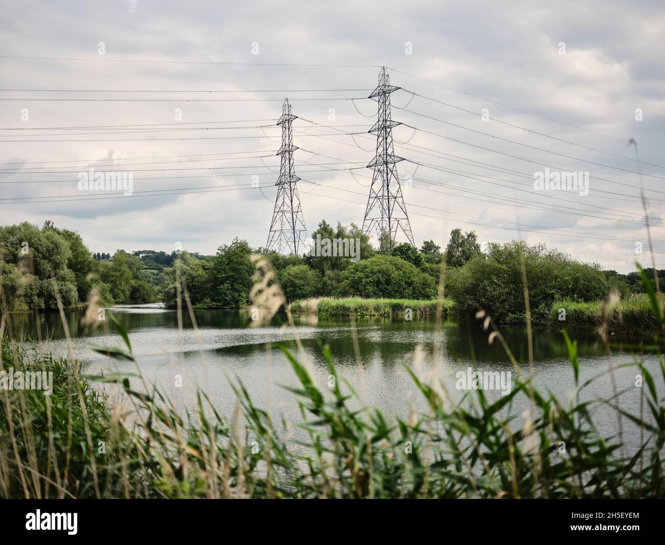 De grands pylônes d'électricité sont à l'arrière-plan dans une réserve naturelle du Grand Londres, au Royaume-Uni. Banque D'Images