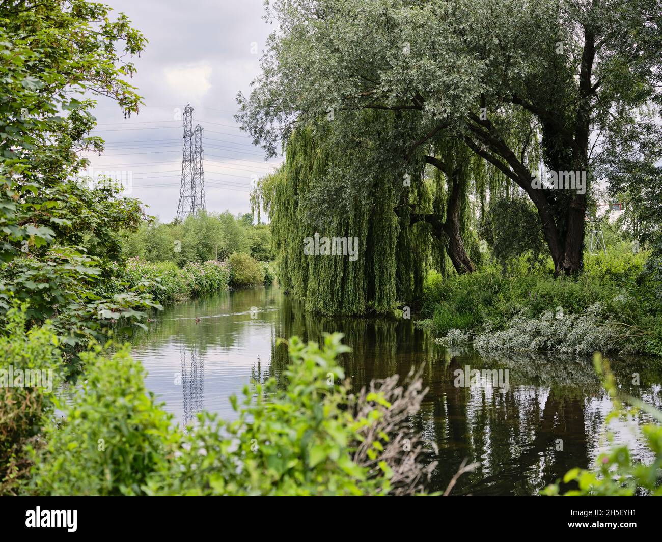 Vue sur la rivière au parc national de River Lee Banque D'Images