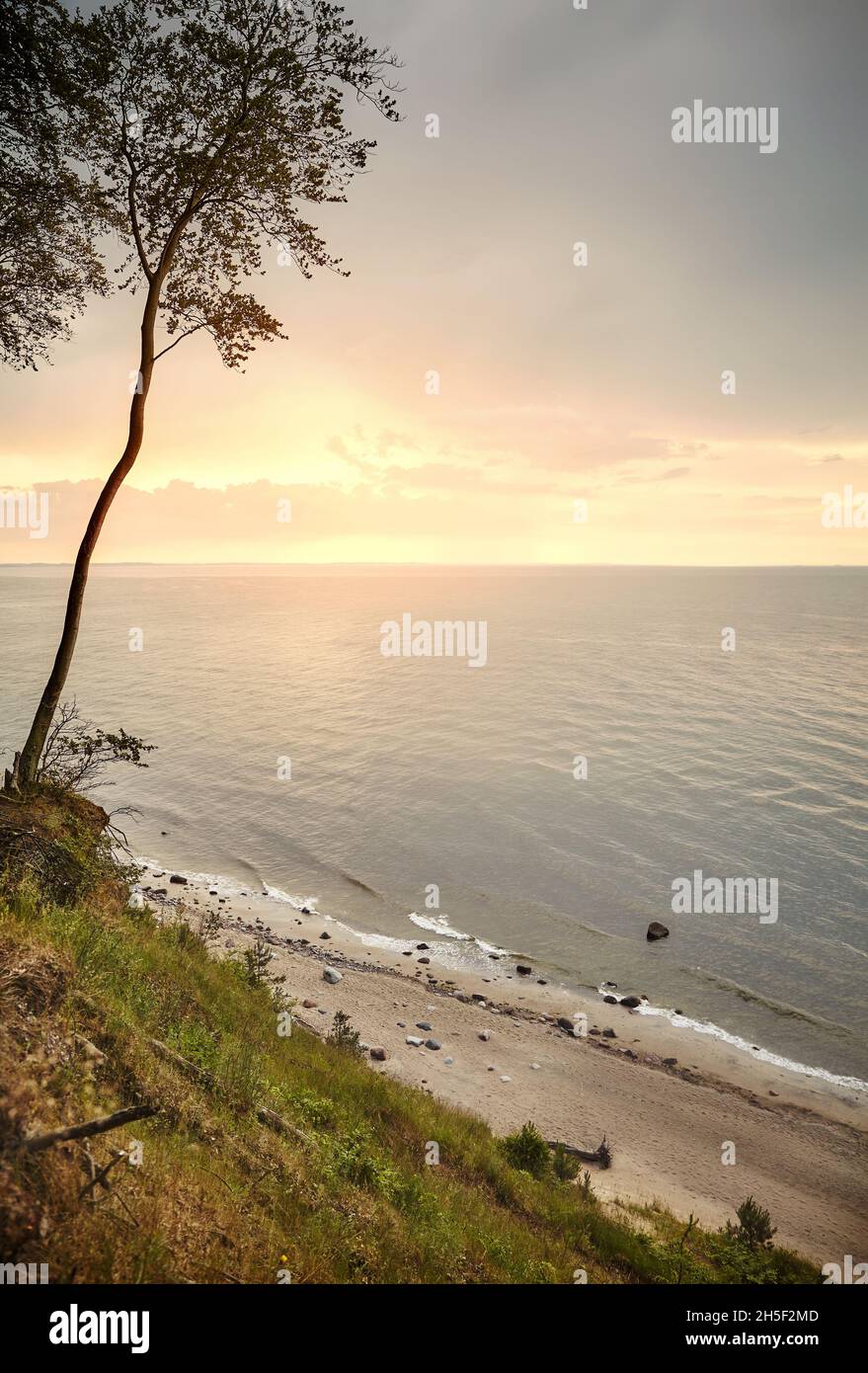 Plage de la mer Baltique vue depuis une falaise à Miedzyzdroje au coucher du soleil, en Pologne. Banque D'Images