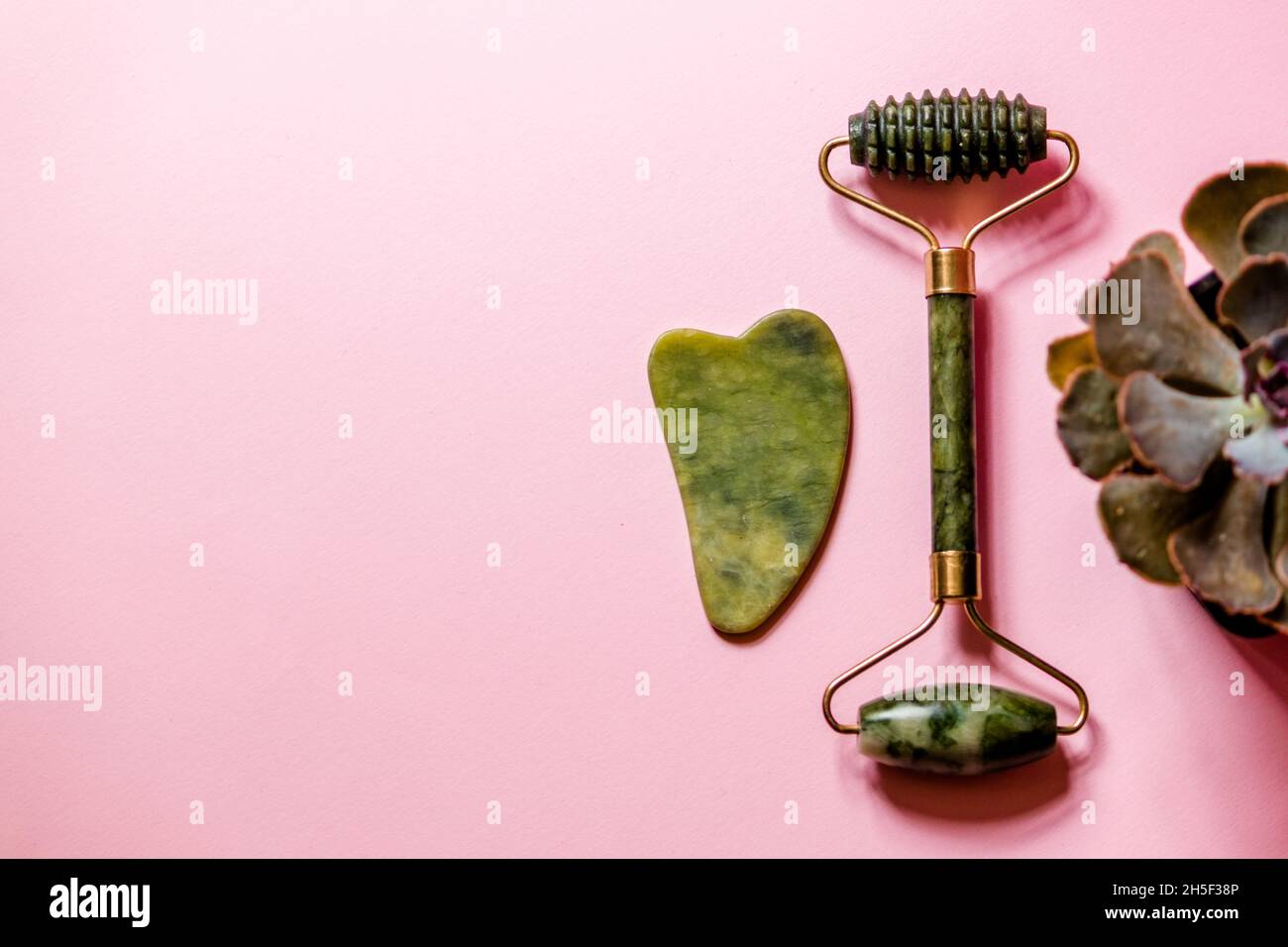 Masseurs pour le visage Jade sur fond rose à côté d'un succulent. Banque D'Images