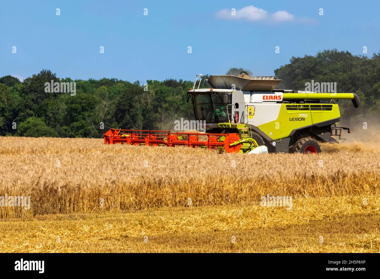 Angleterre, Hampshire, moissonneuse-batteuse récolte du blé dans les champs près de Winchester Banque D'Images