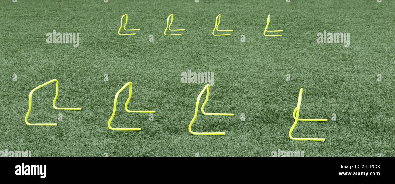 Vue horizontale de deux rangées de mini-haies jaunes de 12 pouces configurées pour la pratique de l'agilité sur un terrain en gazon. Banque D'Images