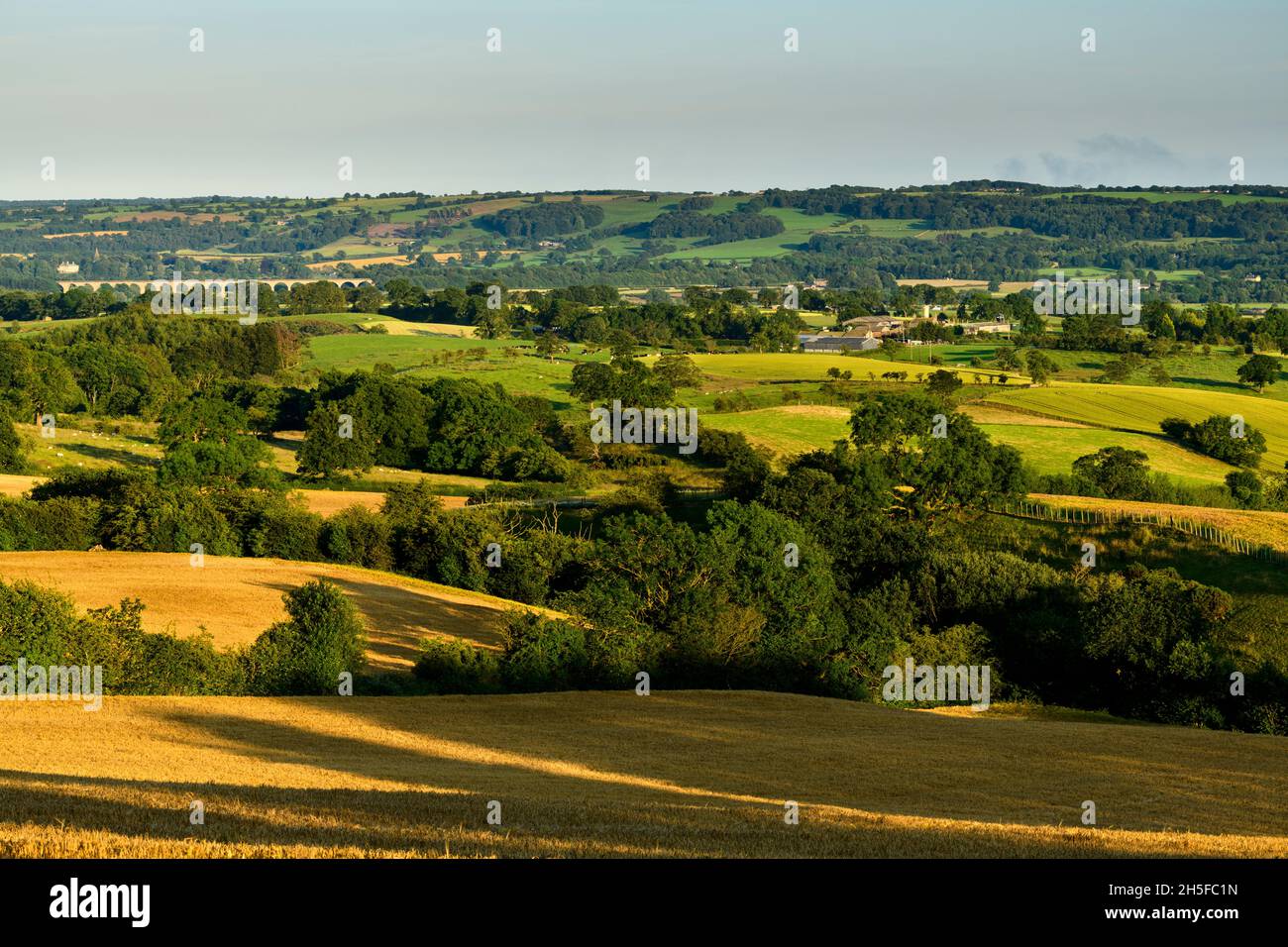 Campagne de Wharfedale ensoleillée (large vallée verte, pente à flanc de colline, cultures arables, champs de blé doré, pont ferroviaire) - North Yorkshire England UK. Banque D'Images