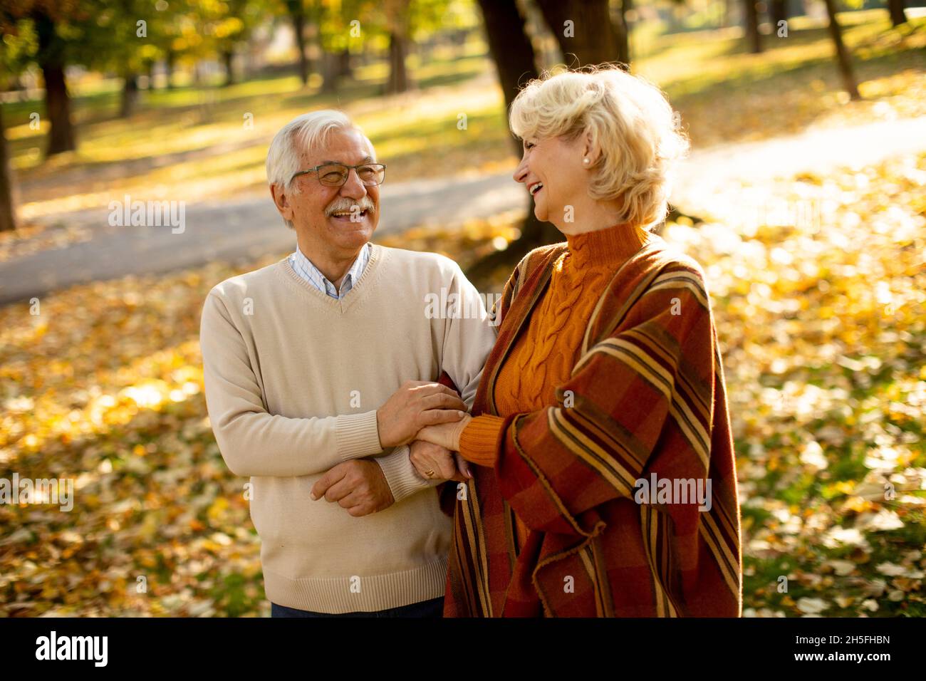 Beau couple senior marchant dans le parc d'automne Banque D'Images