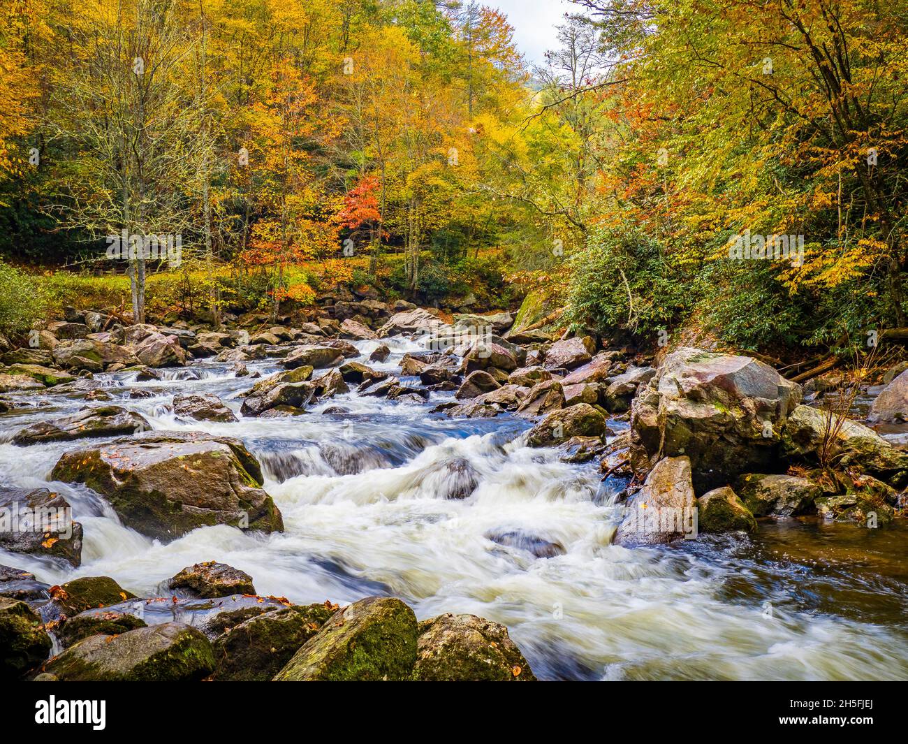 La couleur d'automne autour de petites aquarelles dans la rivière Cullasaja dans la forêt nationale de Nantahala entre Franklin et Highlands Caroline du Nord USA Banque D'Images