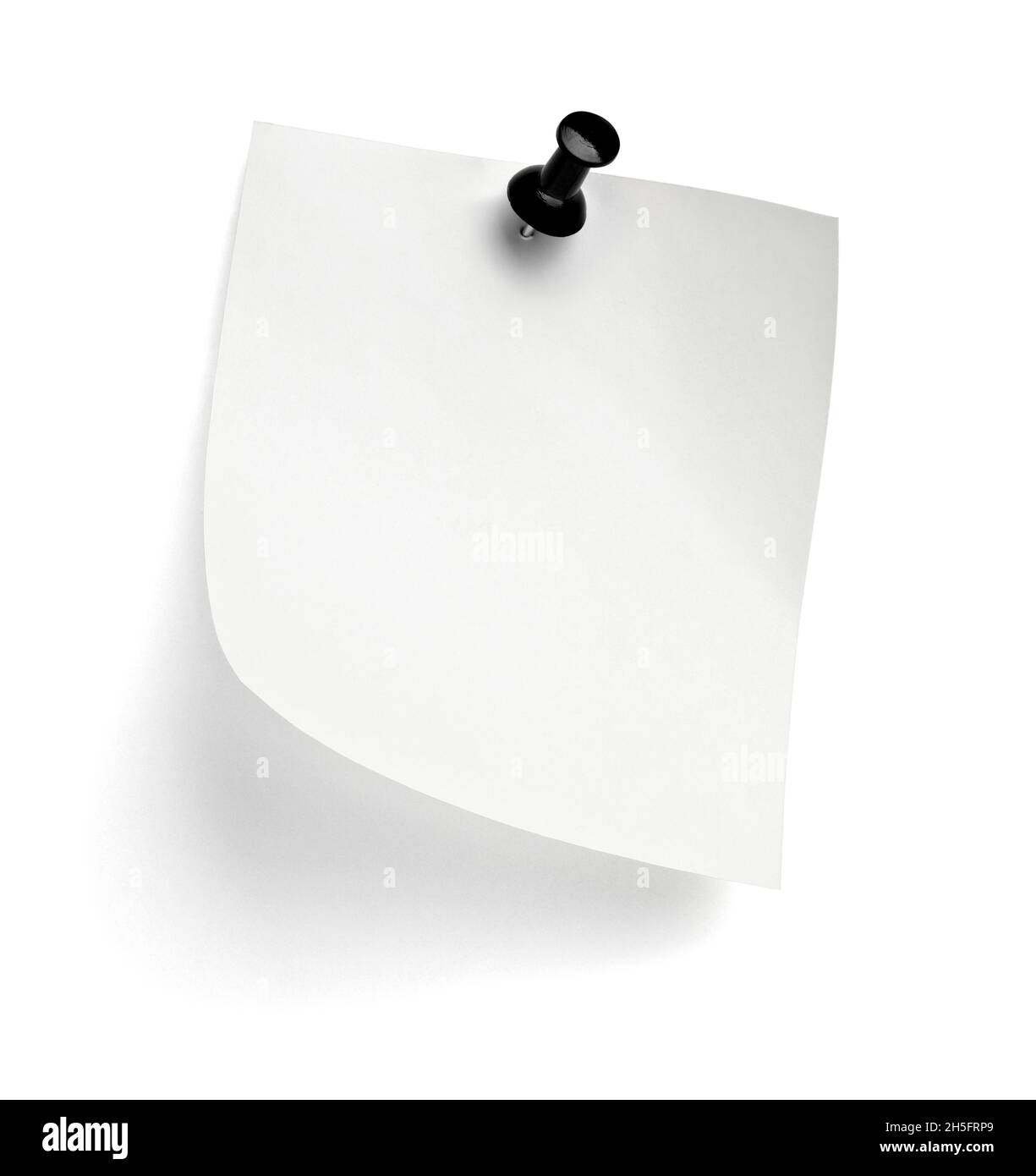 notez le message « punaise » sur papier rouge blanc noir Banque D'Images