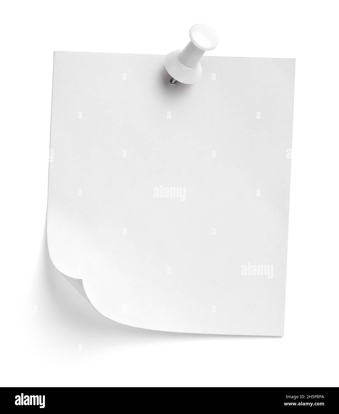 notez le message « punaise » sur papier rouge blanc noir Banque D'Images