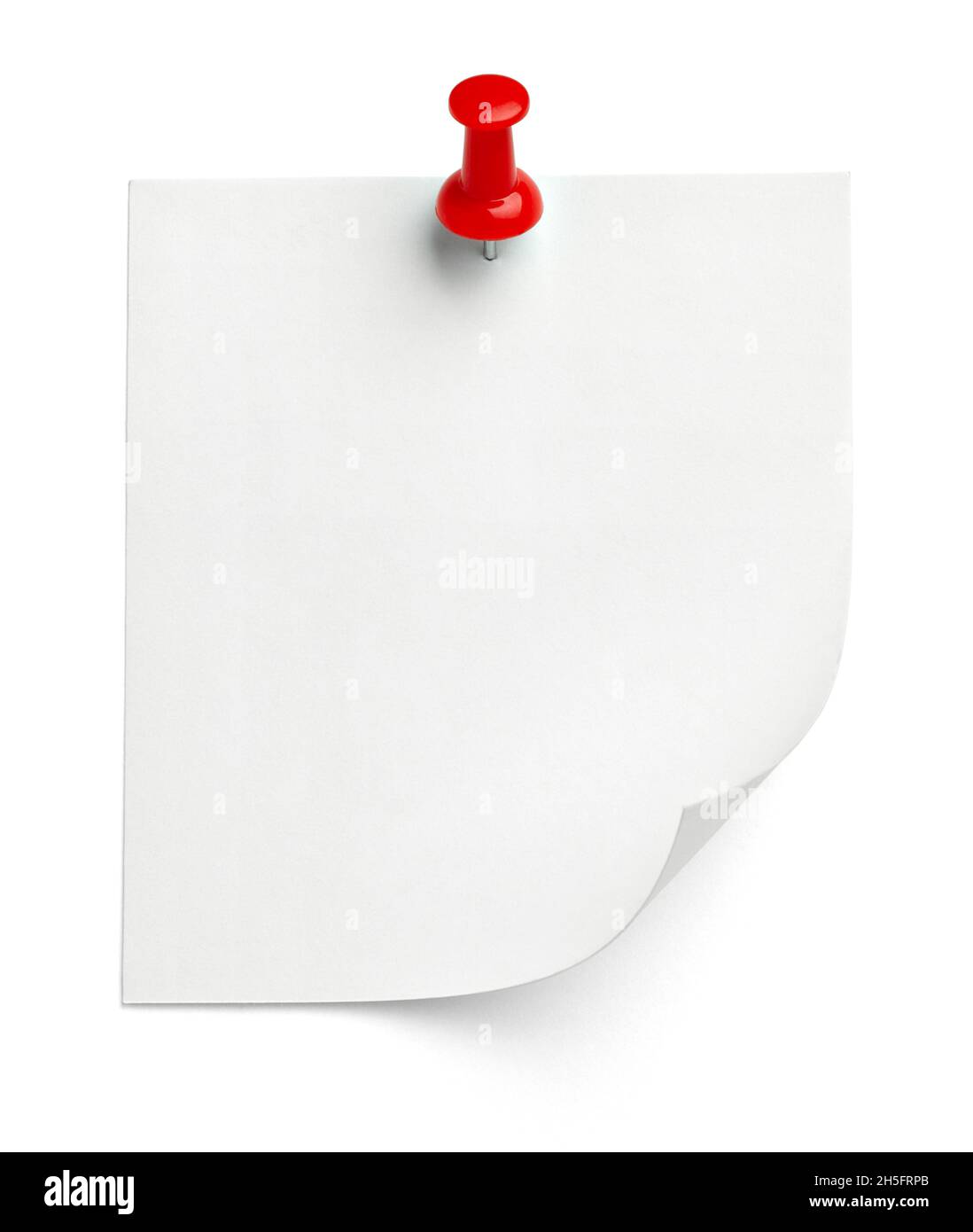 notez le message « punaise » sur papier rouge blanc noir Banque D'Images