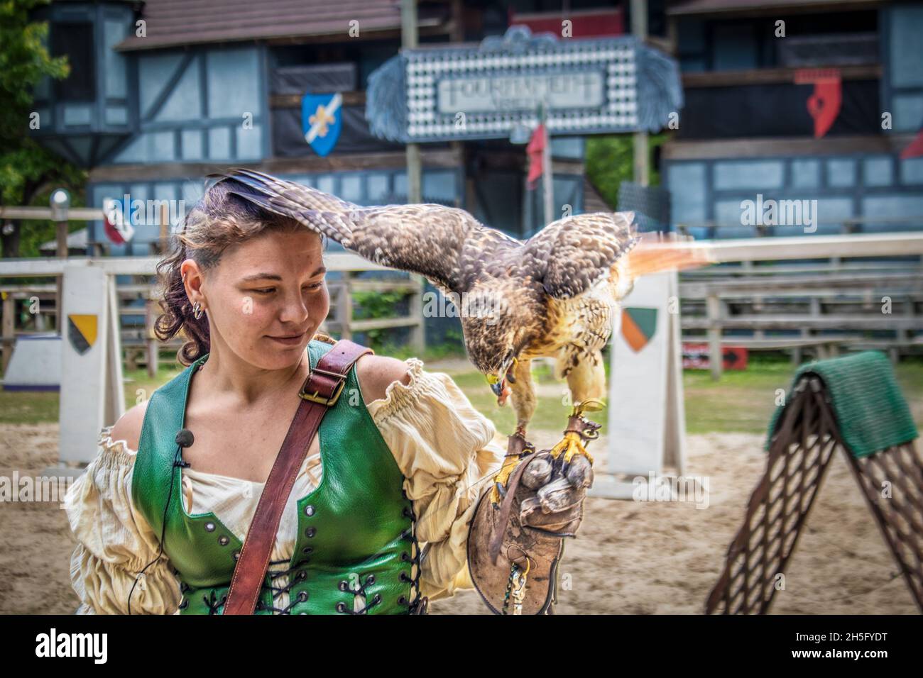 05 08 2021 Muskogee USA joli entraîneur d'oiseau montre fièrement falcon qui a utilisé son aile sur sa tête à l'équilibre comme il atterrit sur sa main avec la pratique Banque D'Images