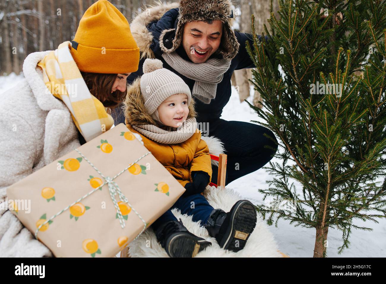 Famille dans une forêt d'hiver, un parent à côté d'un enfant en traîneau, maman tient un cadeau, et papa montre un arbre de Noël Banque D'Images