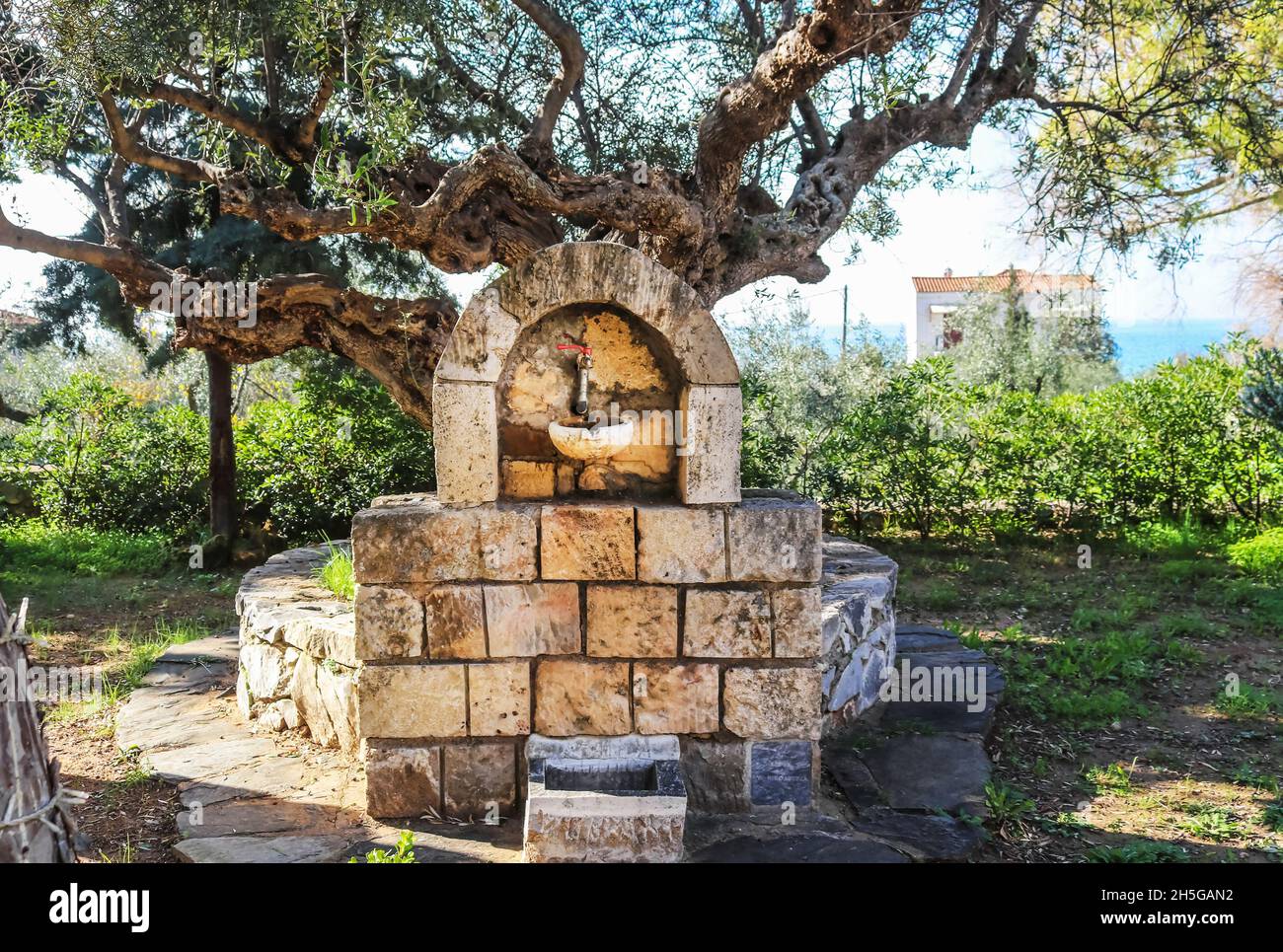 Fontaine dans le parc du village du petit village grec Péloponnèse Kardamyli sous l'ancien olivier avec vue sur la villa en arrière-plan Banque D'Images