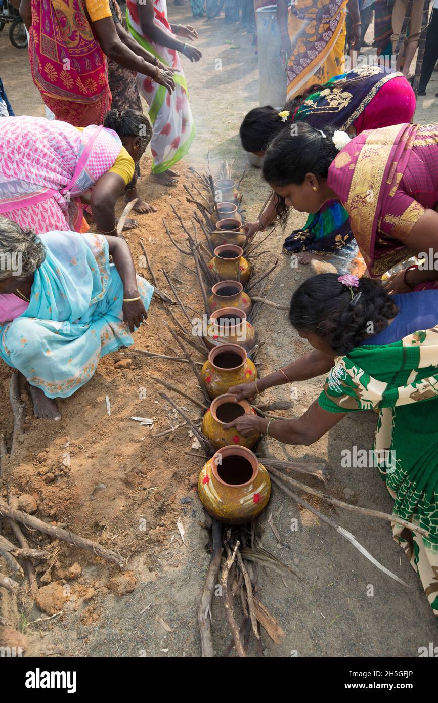 festival; récolte; Tamil; hindou; cuisine;offre; Banque D'Images