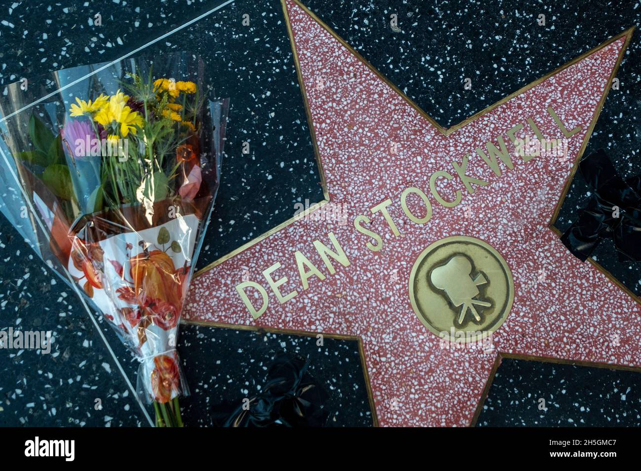 Los Angeles, Californie, États-Unis.9 novembre 2021.Les fleurs sont placées à l'étoile du défunt acteur Dean Stockwell sur le Hollywood Walk of Fame, le mardi 9 novembre 2021, à Los Angeles.Dean Stockwell, qui a été nominé pour un Oscar pour sa performance dans « « « arried to the Mob » » et est plus connu pour ses rôles dans « Blue Velvet » et dans la série télévisée « Quantum Leap ».Stockwell est mort dimanche dans sa maison de Hollywood de causes naturelles, selon son attaché de presse.Il avait 85 ans.(Image de crédit : © Ringo Chiu/ZUMA Press Wire) Banque D'Images