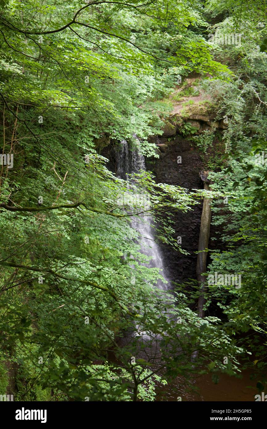 Cascade de Whitby Banque D'Images