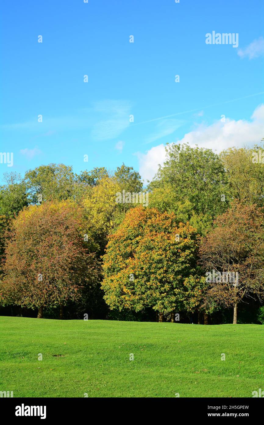 Parc d'Abington aux couleurs automnales à Northampton, Angleterre, Royaume-Uni Banque D'Images