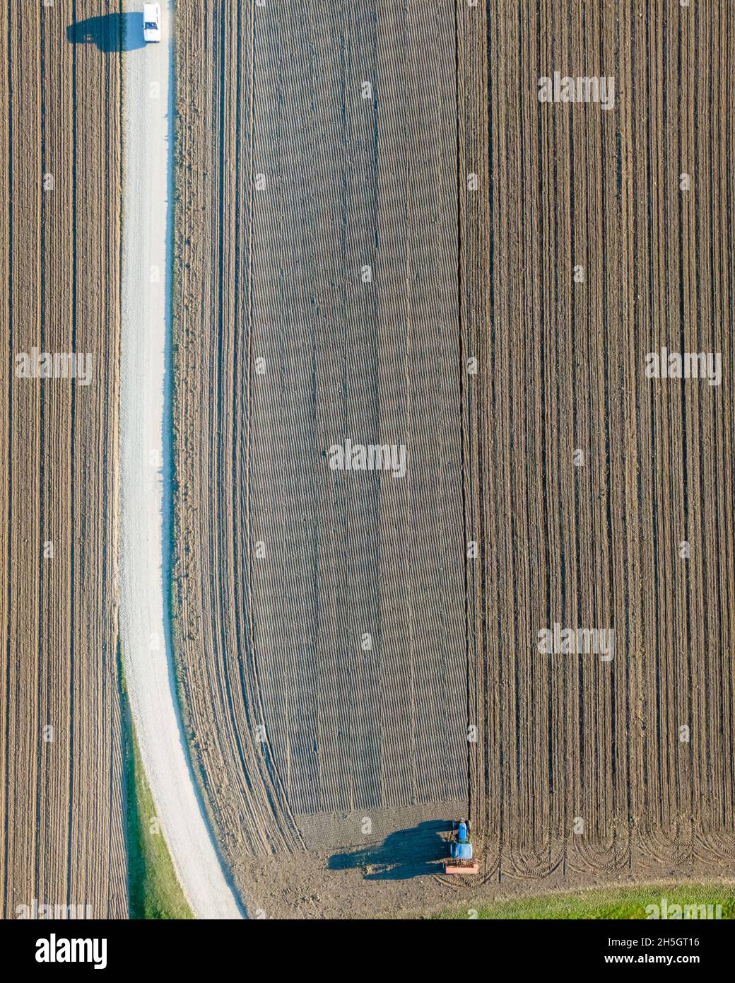 Vue aérienne d'un tracteur travaillant dans un champ agricole au coucher du soleil près d'Aquileia, Udine, Friuli Venezia Giulia, Italie. Banque D'Images