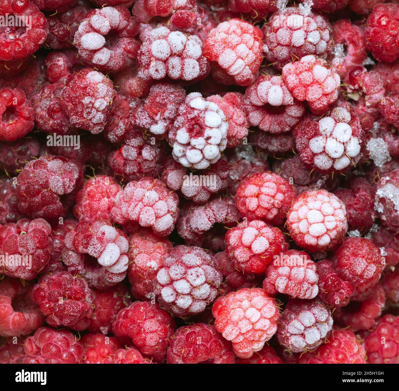 Gros plan de fruits de framboise congelés Banque D'Images